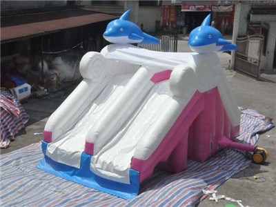 Dolphin Small Inflatable Pool Slide For Sale  BY-WS-0113